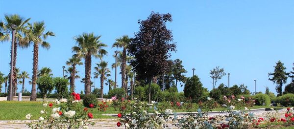 ბათუმის ბულვარ - Sputnik საქართველო