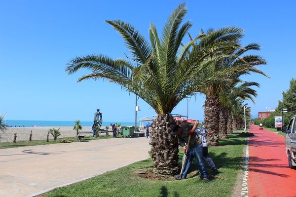 Батумский бульвар - Sputnik საქართველო