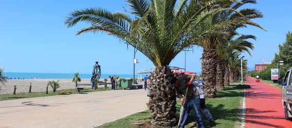 ბათუმის ბულვარი - Sputnik საქართველო