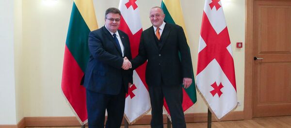 ლინას ლინკავიჩუსი და გიორგი მარგველაშვილი ლინას ლინკავიჩუსი და გიორგი მარგველაშვილი - Sputnik საქართველო