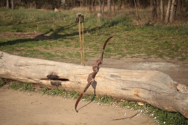 მშვილდომანია მშვილდომანია - Sputnik საქართველო