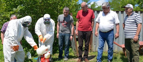 აზიური ფაროსანა - Sputnik საქართველო