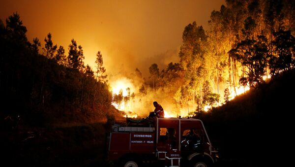Пожарные на лесном пожаре в центральной Португалии - Sputnik Грузия