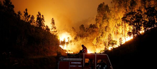 Пожарные на лесном пожаре в центральной Португалии - Sputnik Грузия