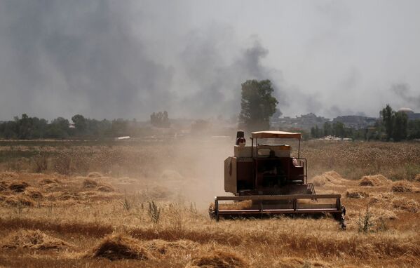 Комбайн собирает урожай пшеницы на западе Мосула, Ирак, на фоне клубов дыма, поднимающегося над позициями боевиков Исламского государства - Sputnik Грузия