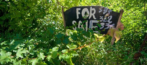 Объявление о продаже земли в регионе Мцхета-Мтианети - Sputnik Грузия