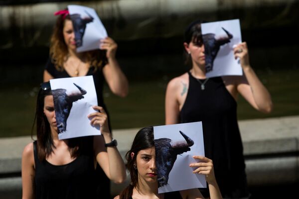 Защитники прав животных принимают участие в акции протеста против боев быков в Мадриде, Испания - Sputnik Грузия