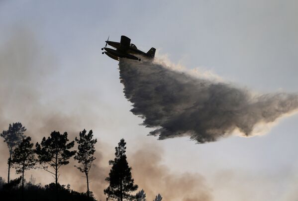 Самолет сбрасывает воду на очаг крупного лесного пожара в Мендейре, Португалия - Sputnik Грузия