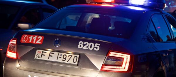 პატრული პატრული - Sputnik საქართველო