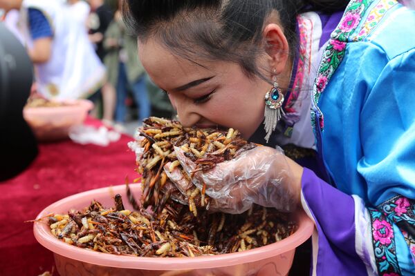 შეჯიბრება მწერების სწრაფად ჭამაში ჩინეთში. - Sputnik საქართველო
