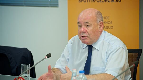 Михаил Швыдкой во время пресс-конференции - Sputnik Грузия