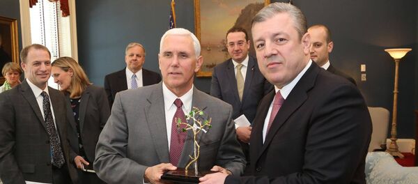 მაიკ პენსი და გიორგი კვირიკაშვილი მაიკ პენსი და გიორგი კვირიკაშვილი - Sputnik საქართველო