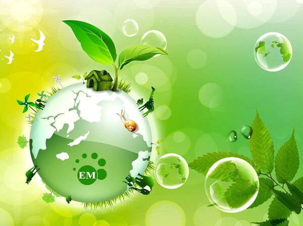 EM ტექნოლოგია - Sputnik საქართველო