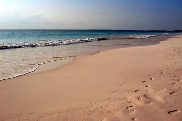 Розовый песок на Багамах. Он является остатками кораллов, которые были измельчены морским прибоем - Sputnik Грузия