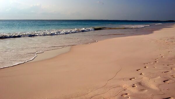 Розовый песчаный пляж на Багамских островах - Sputnik Грузия