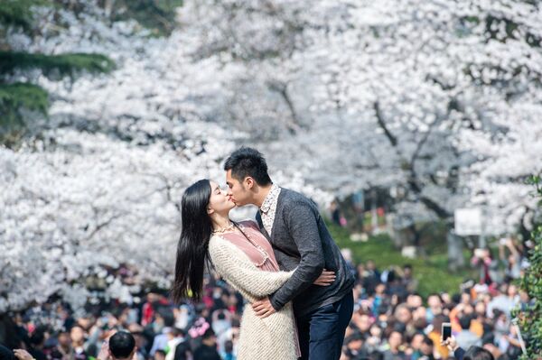 Поцелуй на фоне цветущей вишни в Ухане в центральной провинции Хубэй в Китае - Sputnik Грузия