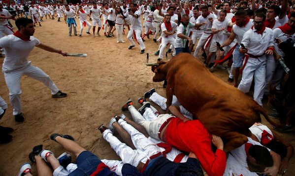 Дикий бык прыгает через зрителей в бычье кольцо после четвертого бега быков на фестивале Сан-Фермин в Памплоне, Испания - Sputnik Грузия