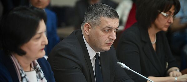 ქართველი დეპუტატების შეხვედრები რუსეთის სახელმწიფო სათათბიროში - Sputnik საქართველო