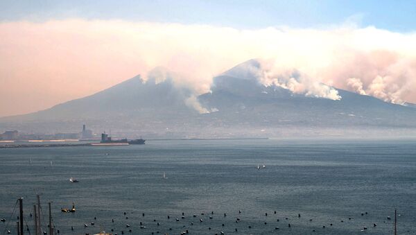 Дым, поднимающийся от пожаров на склонах вулкана Везувий к востоку от Неаполя - Sputnik Грузия