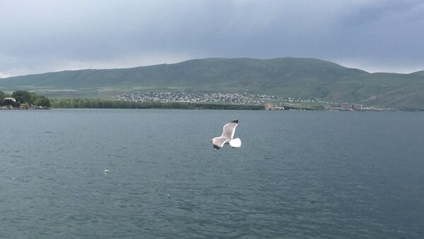 Озеро Севан в Армении - Sputnik Грузия