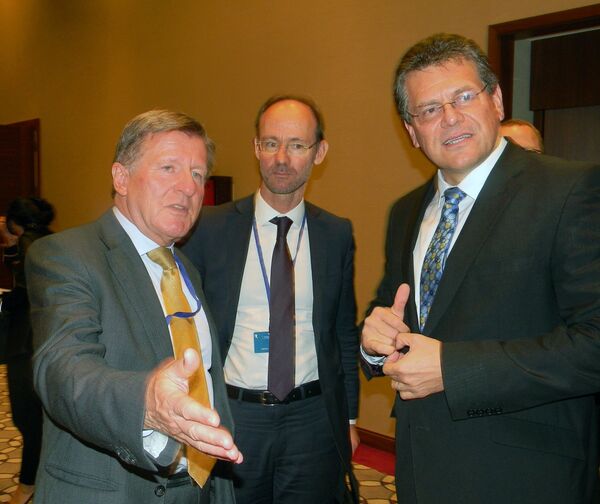 Шефчович: Евросоюз поможет Грузии в развитии зеленой энергетики - Sputnik Грузия