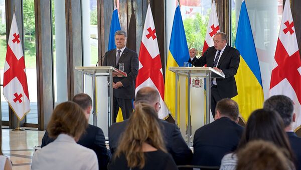 Пресс-конференция президентов Украины и Грузии Петра Порошенко и Георгия Маргвелашвили - Sputnik Грузия