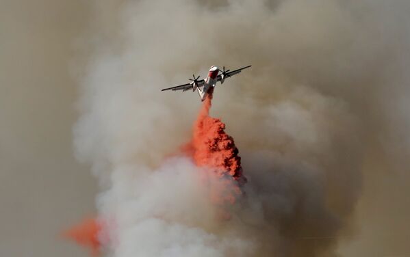 Самолет тушит лесной пожар в Кастанье, недалеко от Ниццы, Франция - Sputnik Грузия