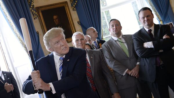 Президент США Дональд Трамп размахивает бейсбольной битой во время демонстрации продукта «Сделано в Америке» в Белом доме в Вашингтоне - Sputnik Грузия