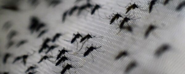 Комары - Sputnik Грузия