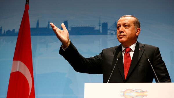 Президент Турции Тайип Эрдоган на саммите G20 в Гамбурге - Sputnik Грузия
