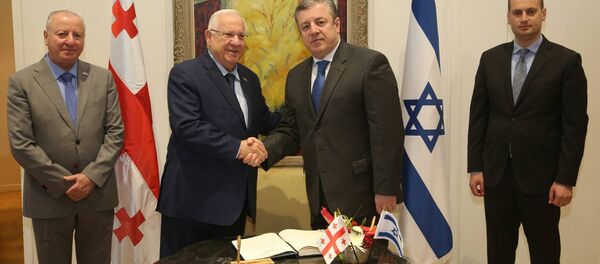 რეუვენ რივლინი და გიორგი კვირიკაშვილი რეუვენ რივლინი და გიორგი კვირიკაშვილი - Sputnik საქართველო