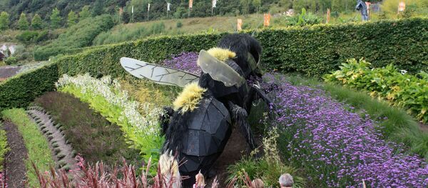 გიგანტური კრაზანა - Sputnik საქართველო