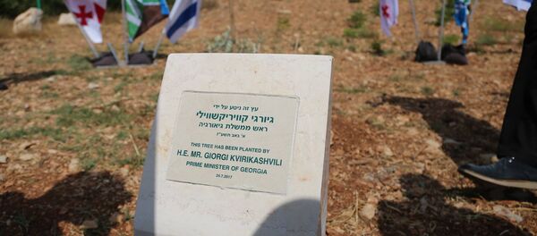 Памятная табличка с именем Георгия Квирикашвили в Израиле - Sputnik Грузия