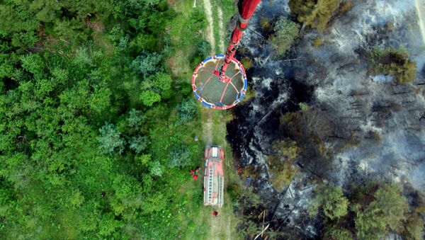 Пожар в лесу Арджеванидзе - Sputnik Грузия