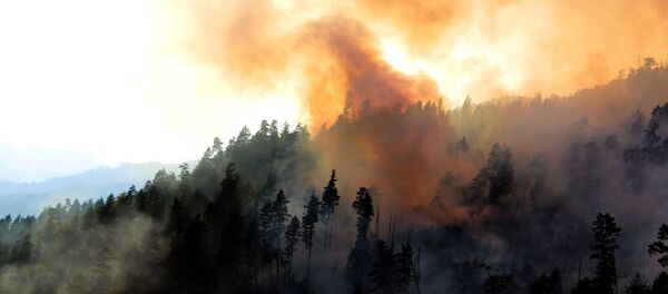 ხანძარი არჯევანის ტყეში ხანძარი არჯევანის ტყეში - Sputnik საქართველო