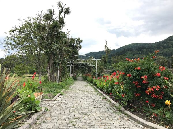 Аллея в крепости Гонио - Sputnik Грузия