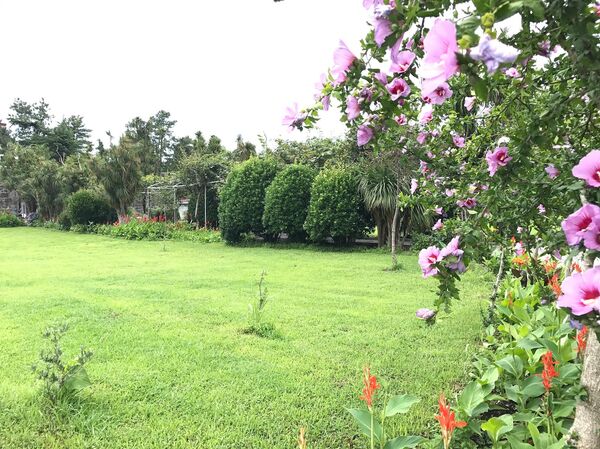 Крепость Гонио - Sputnik Грузия