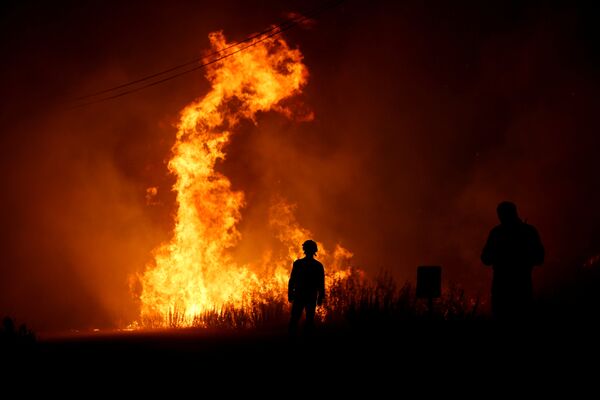 Пожарные работают над тушением лесного пожара рядом с деревней Макао, недалеко от Кастело Бранко, Португалия - Sputnik Грузия