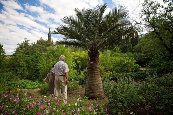 В ботаническом саду широко представлена грузинская и мировая флора. Многочисленные посетители каждый день посещают тбилисский Ботанический сад, чтобы полюбоваться красотой природы - Sputnik Грузия