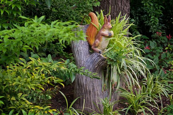 Фигура белки на ветке дерева в тбилисском Ботаническом саду Фигура белки на ветке дерева в тбилисском Ботаническом саду - Sputnik Грузия