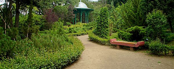 Одна из пустынных аллей в верхней зоне тбилисского Ботанического сада рано утром - Sputnik Грузия