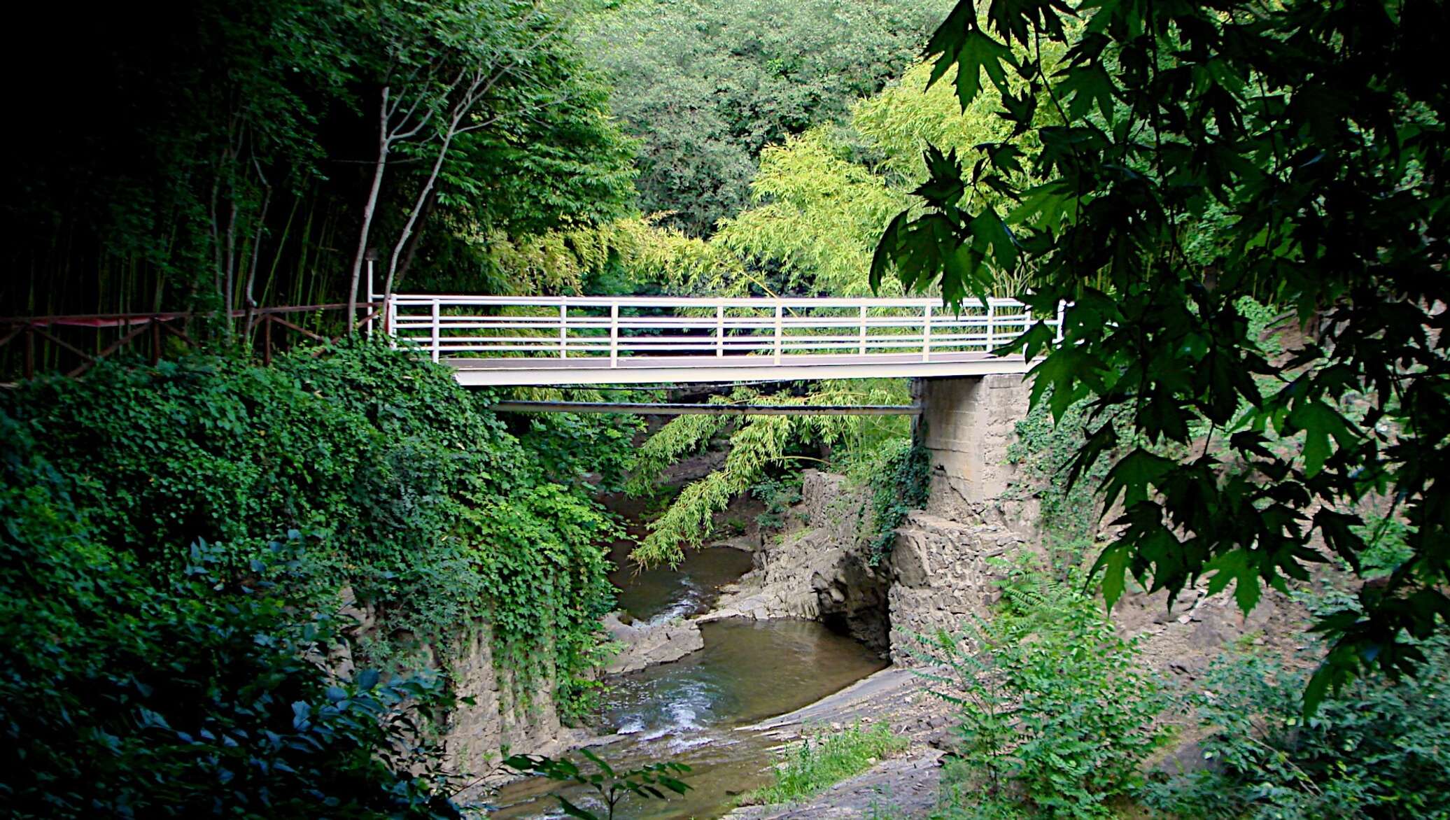 Ботанический сад Тбилиси подвесной мост