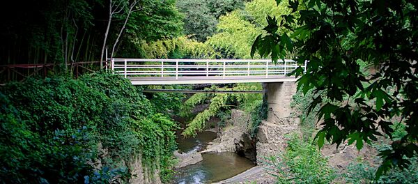 საფეხმავლო ხიდი მდინარე წავკისისწყალზე თბილისის ბოტანიკურ ბაღში საფეხმავლო ხიდი მდინარე წავკისისწყალზე თბილისის ბოტანიკურ ბაღში - Sputnik საქართველო
