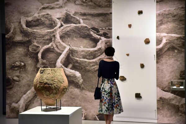 Выставка в Cité du Vin  - Sputnik Грузия