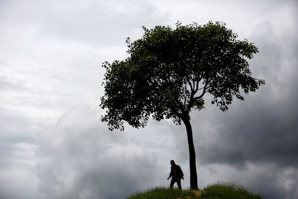 Мужчина идет у места, известного как Холм одного дерева, в Лалитпуре, Непал - Sputnik Грузия