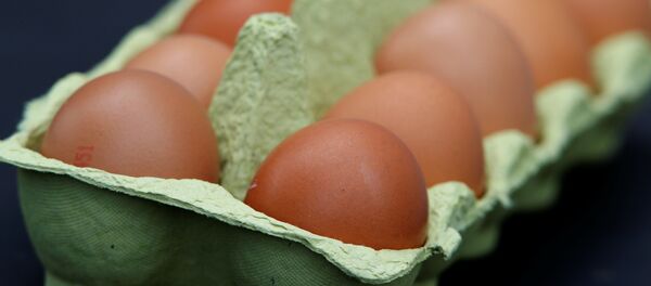 Десяток яиц Десяток яиц - Sputnik Грузия