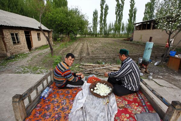 Жители села Тейит чистят лук во дворе своего дома, 2010 год - Sputnik Грузия