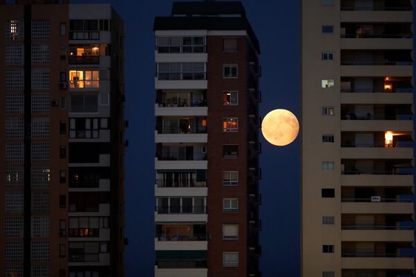 Так восходящая Луна выглядела во время частичного лунного затмения между зданиями в Малаге, на юге Испании - Sputnik Грузия