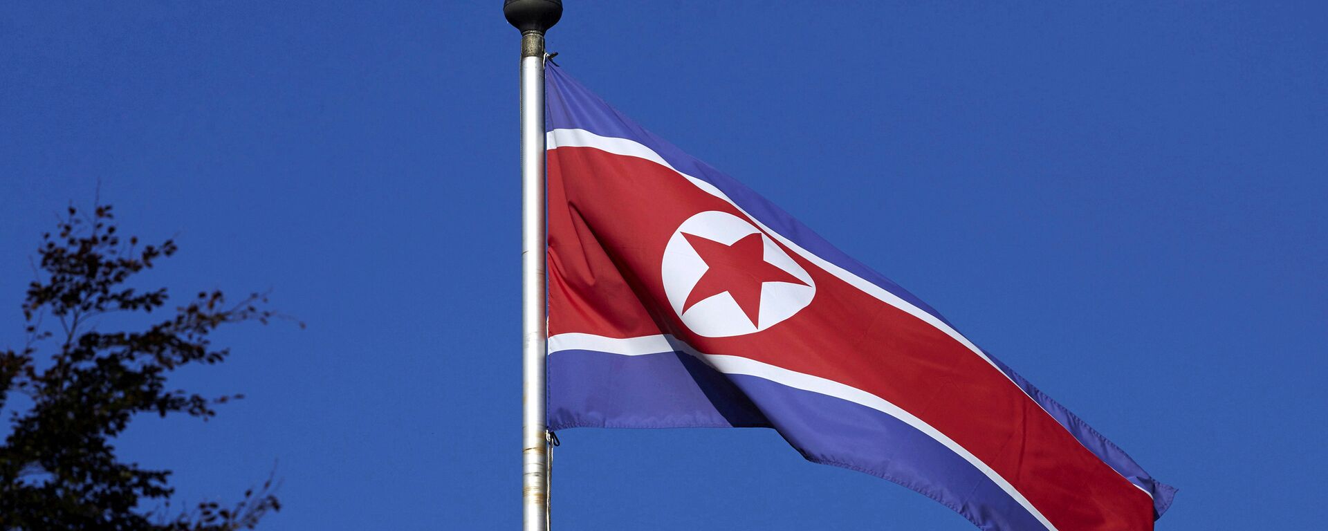 ჩრდილოეთ კორეის დროშა - Sputnik საქართველო, 1920, 30.08.2021