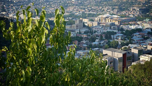 Вид на город Тбилиси летом - Sputnik Грузия